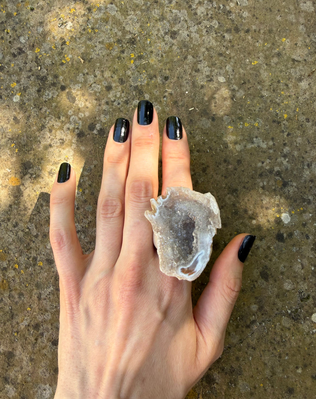 Moon Shell