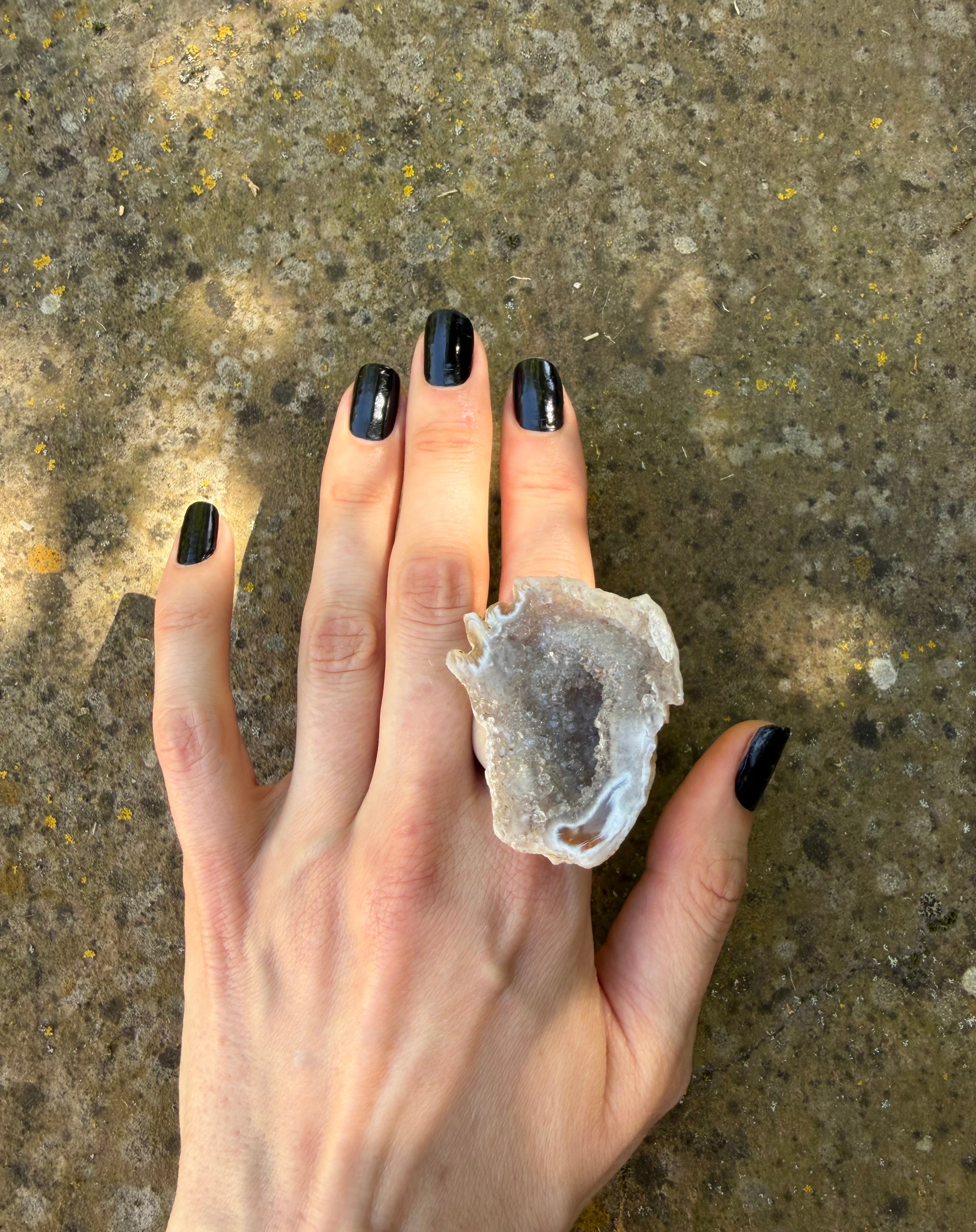 Moon Shell