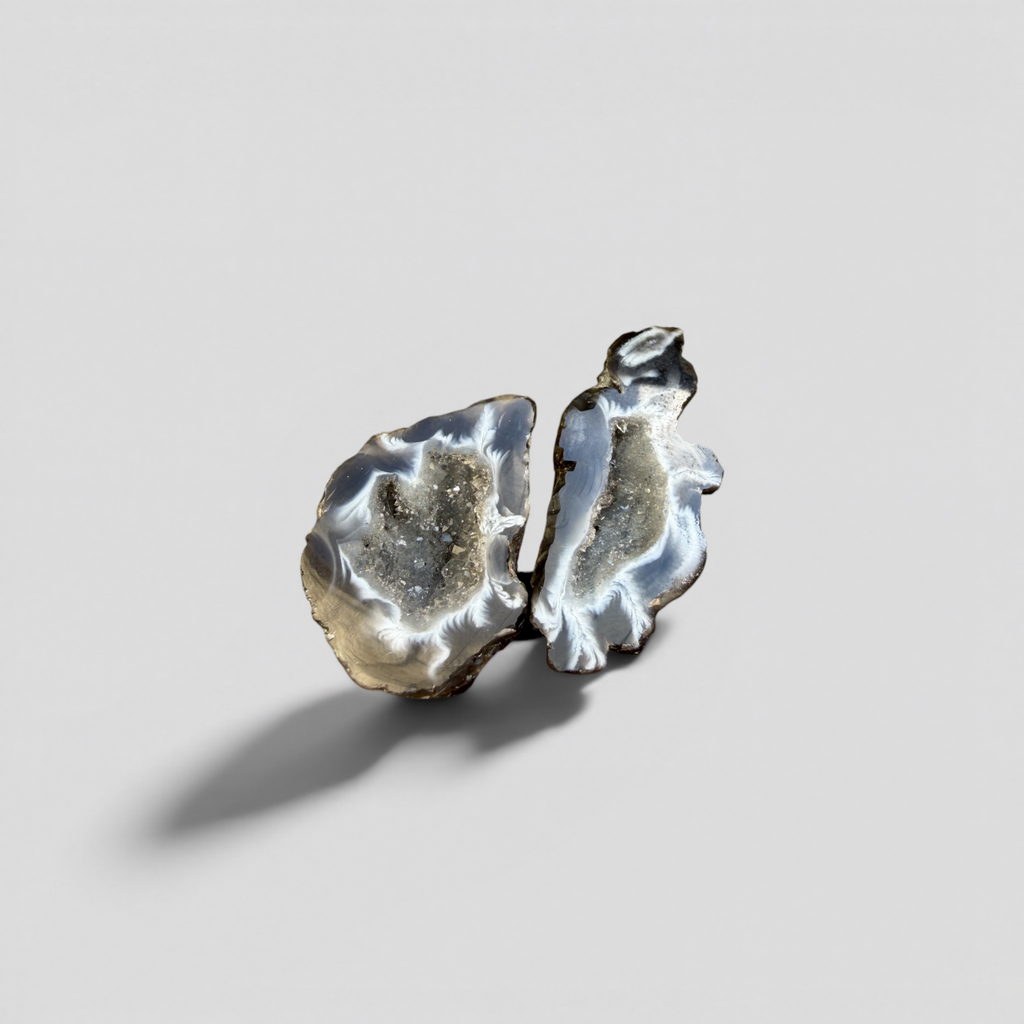 Sea Relic