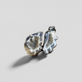 Sea Relic