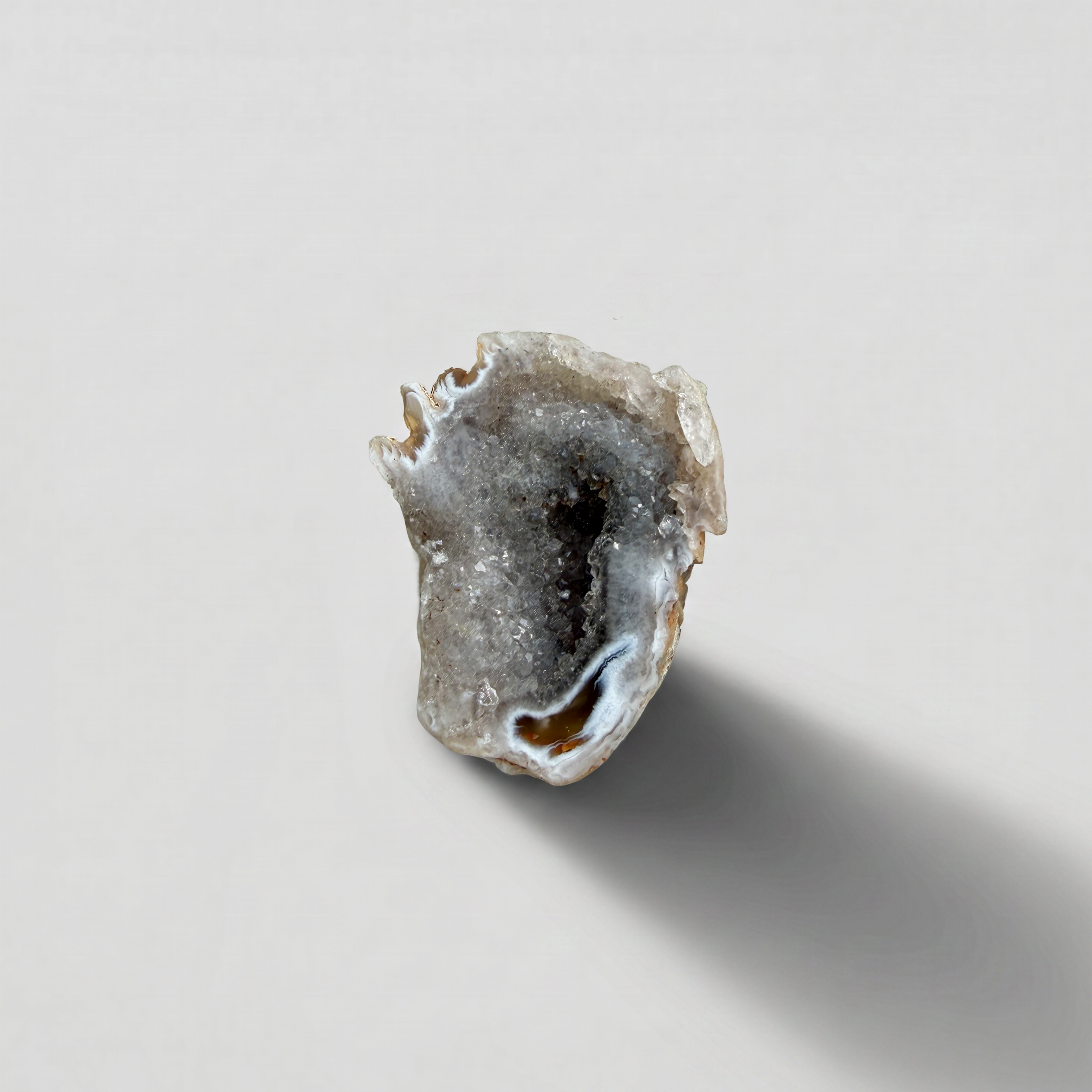 Moon Shell